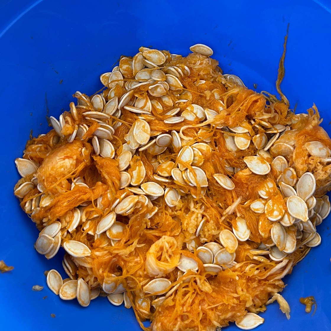 Perfect Roasted Pumpkin Seeds Recipe