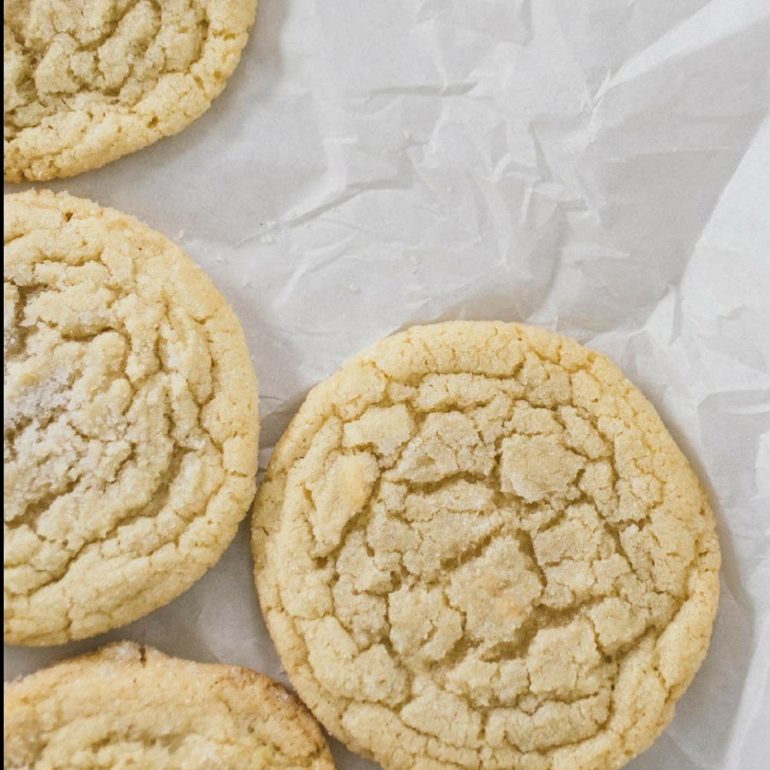 Sugar Cookies