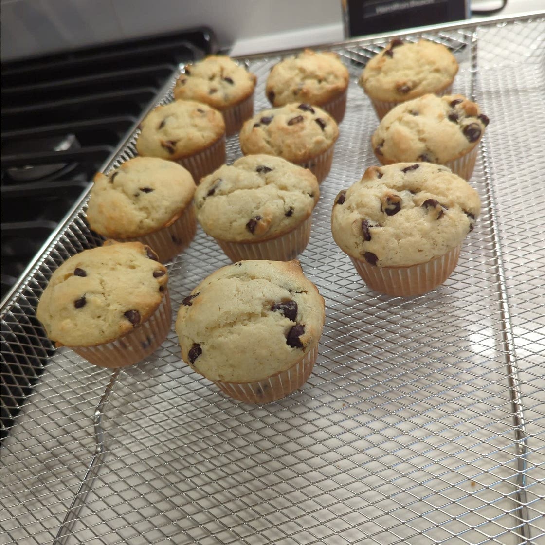 Bakery Style Chocolate Chip Muffins