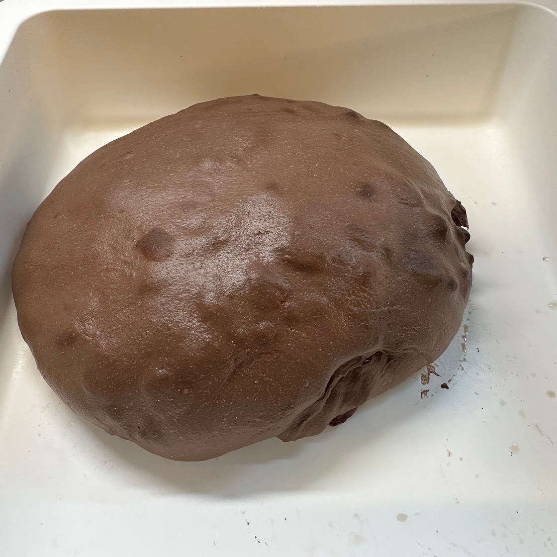Chocolate Cherry Sourdough Bread