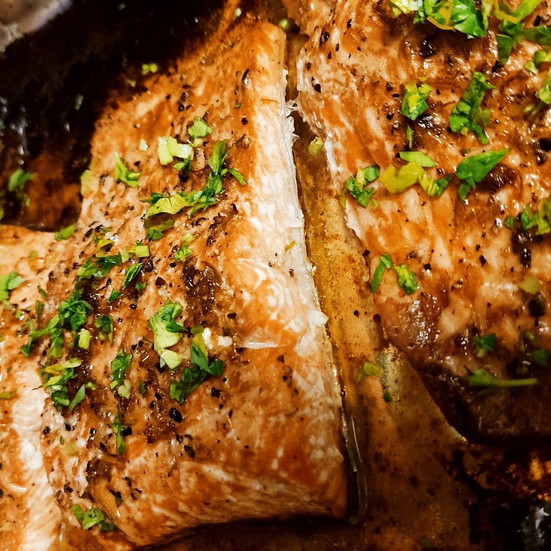 Broiled Salmon Fillets