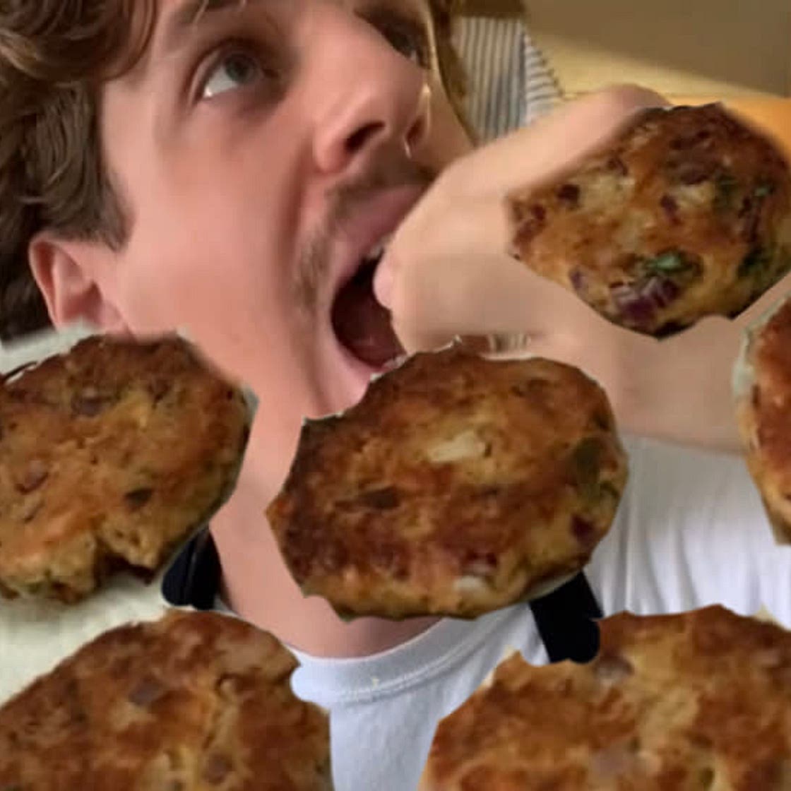 Tuna Patties from TikTok 