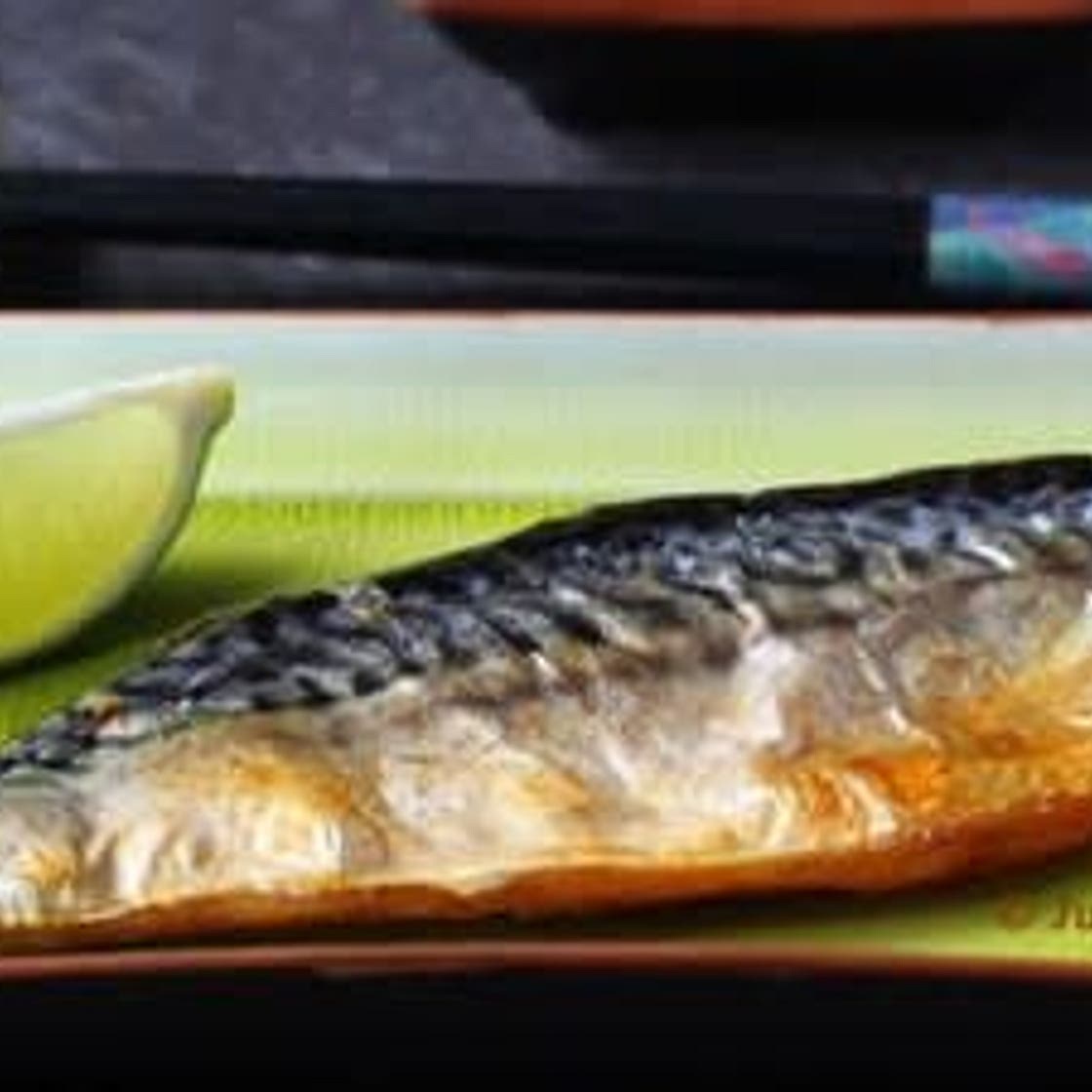 Grilled Mackerel Bento