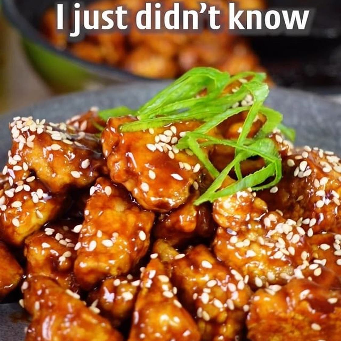 Tofu ✨