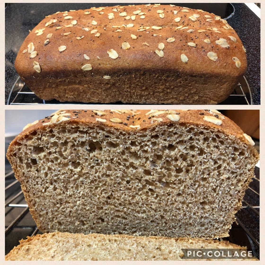 Whole Wheat Bread