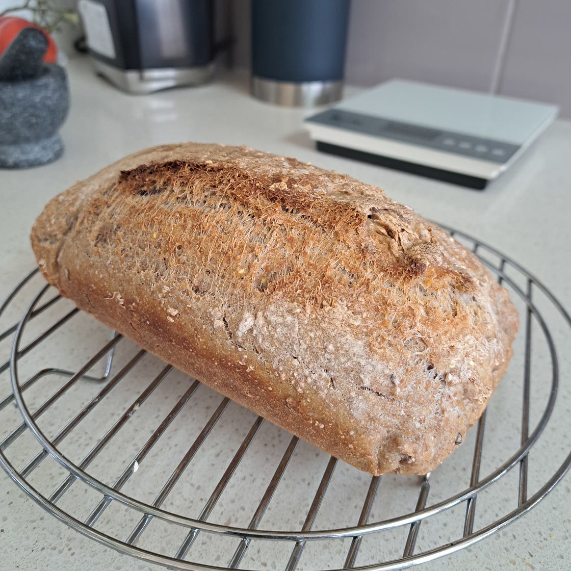 Bread: don't knead to need