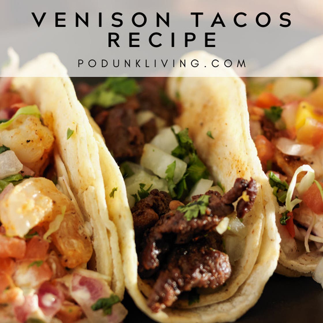 Venison Tacos