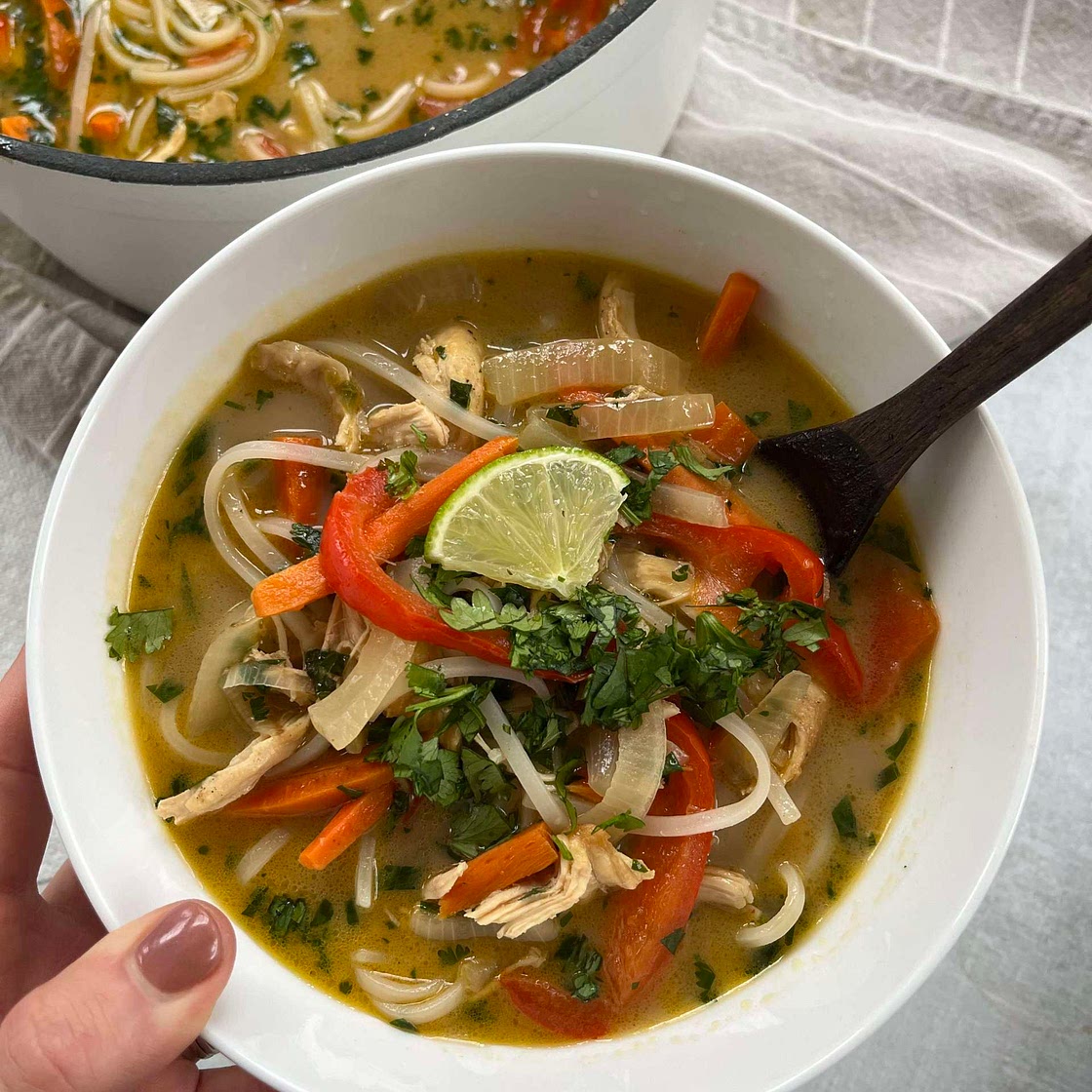 Chicken Pad Thai Soup