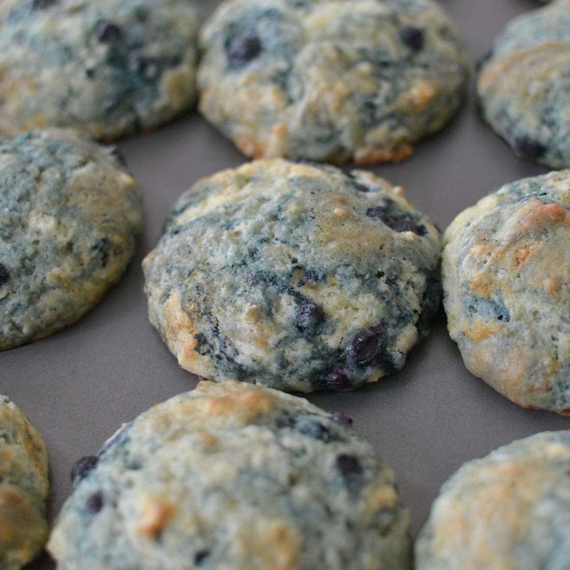 Wild Blueberry Muffins