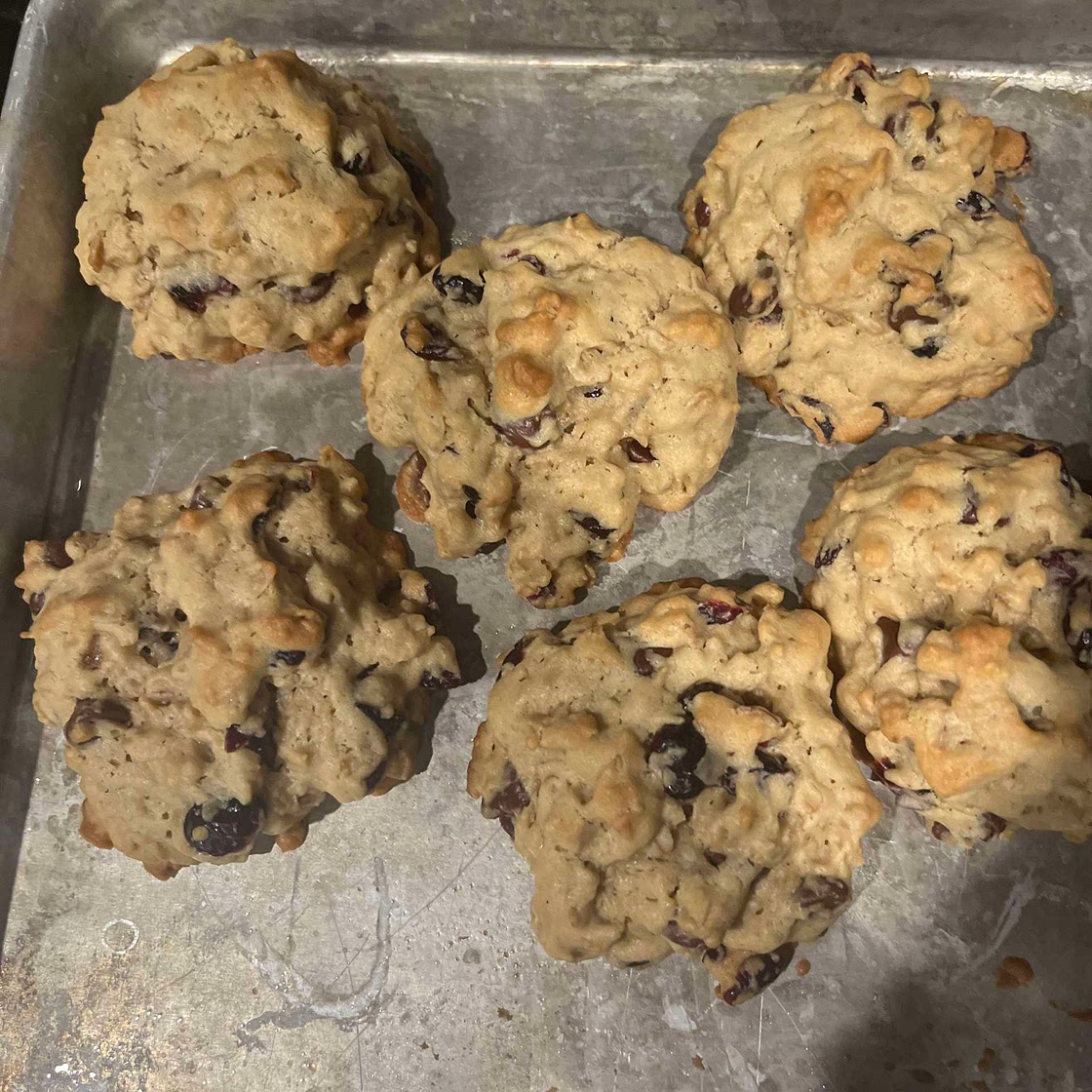 Crainsins Dried Cranberries Oatmeal Chocolate Chunk Cookies