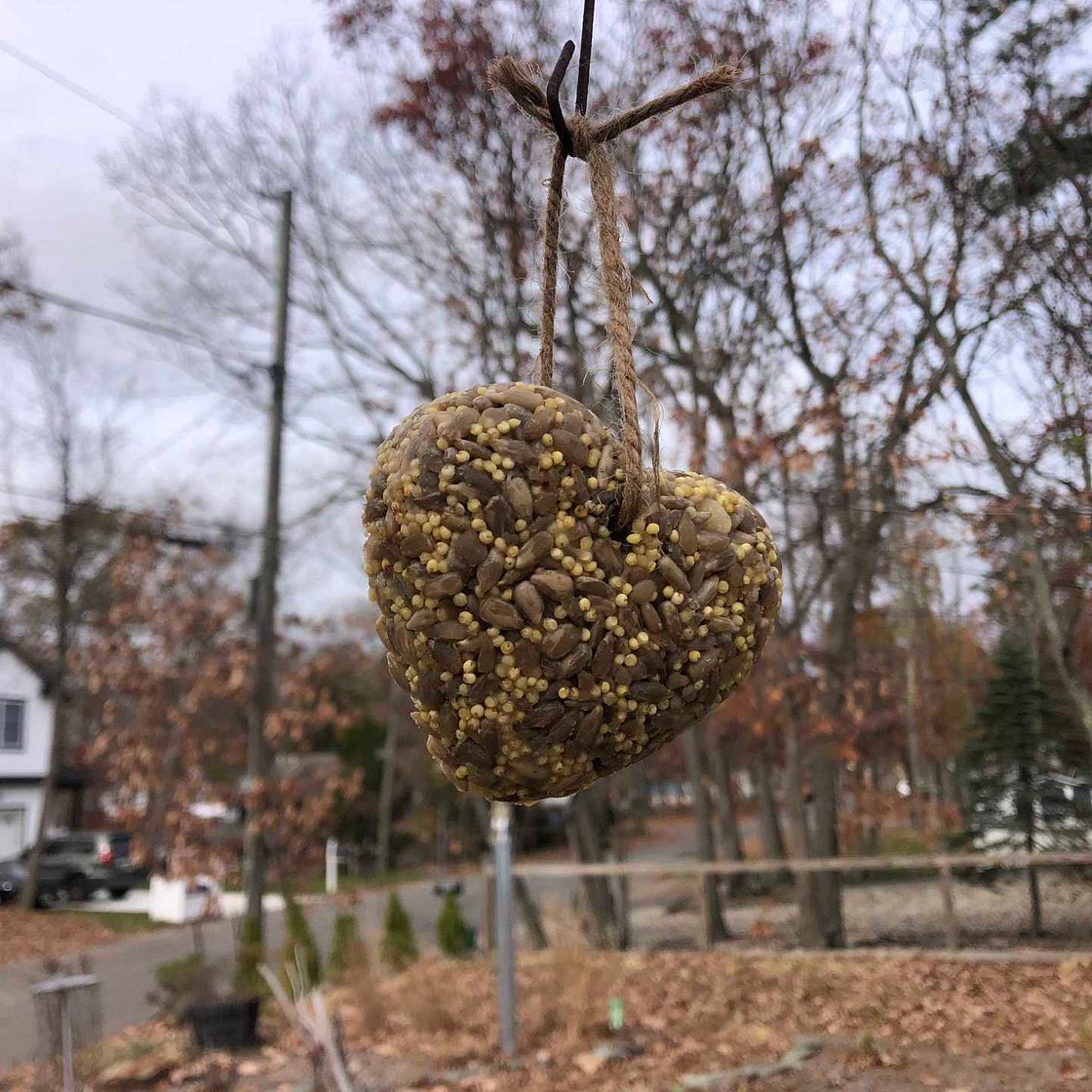 Birdseed Balls