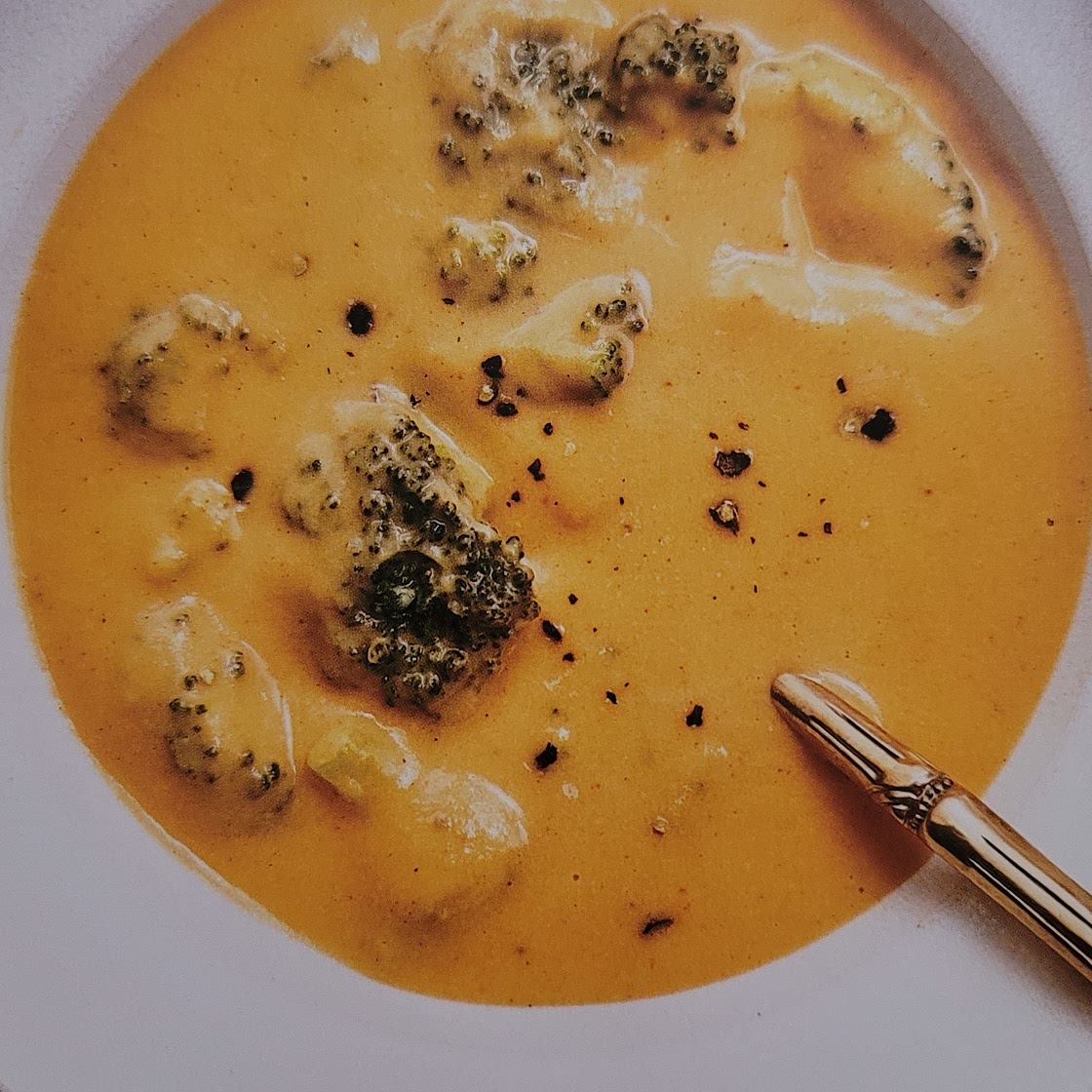 Broccoli and Cheddar Soup