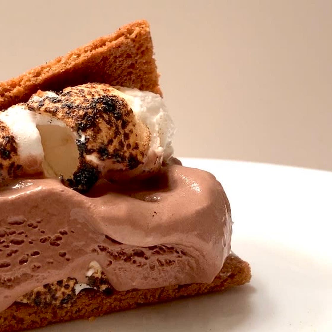 S’mores Ice-Cream Sandwich
