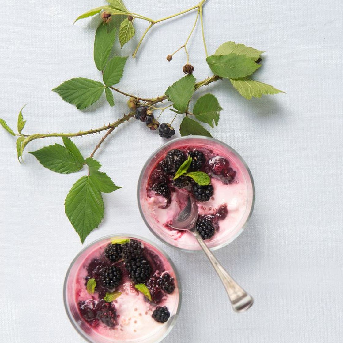 Mousse de mûre sauvage et betterave