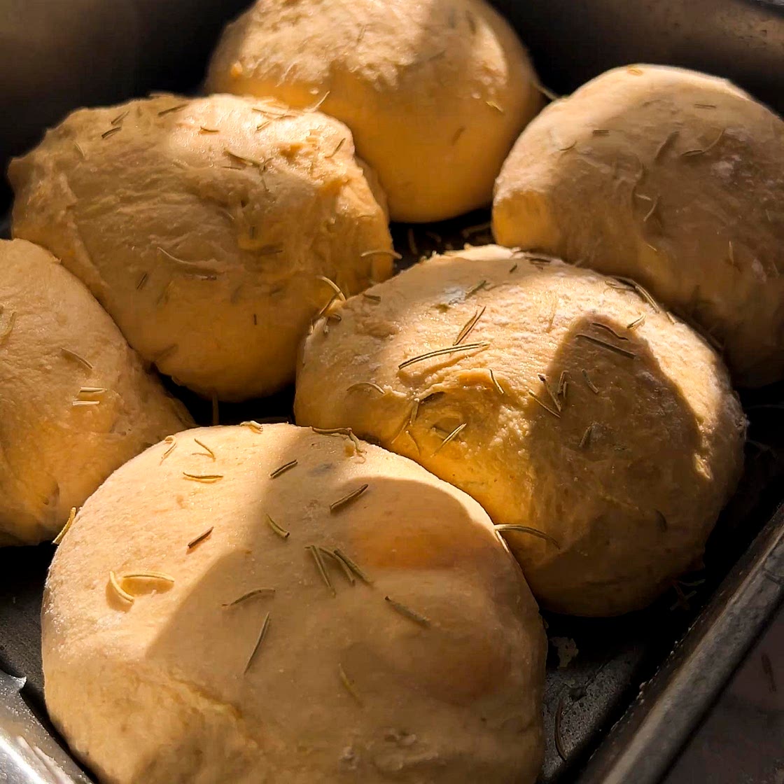 Soft Pumpkin Sourdough Rolls