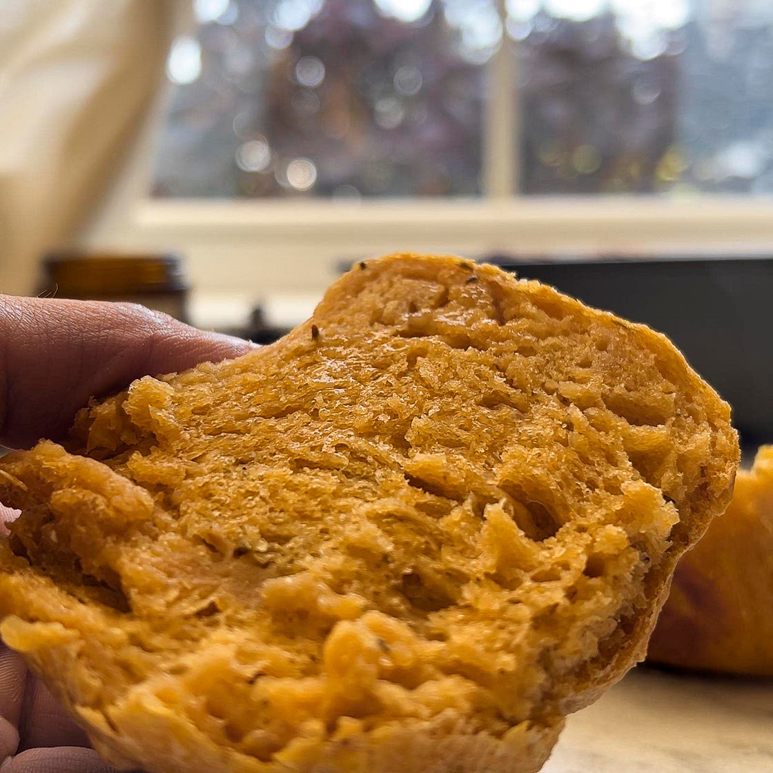 Soft Pumpkin Sourdough Rolls