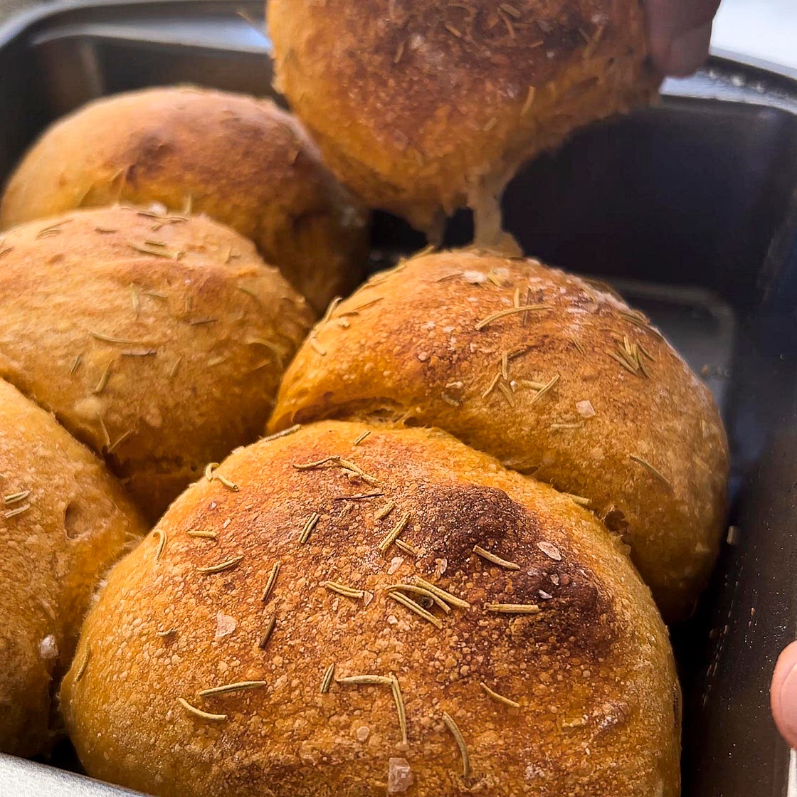Soft Pumpkin Sourdough Rolls