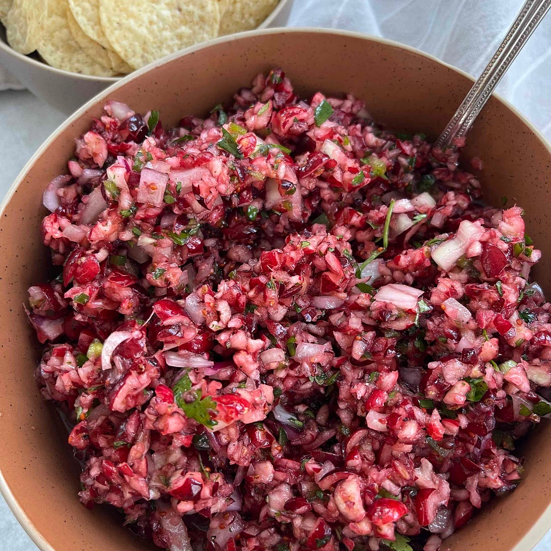 The Best Cranberry Salsa
