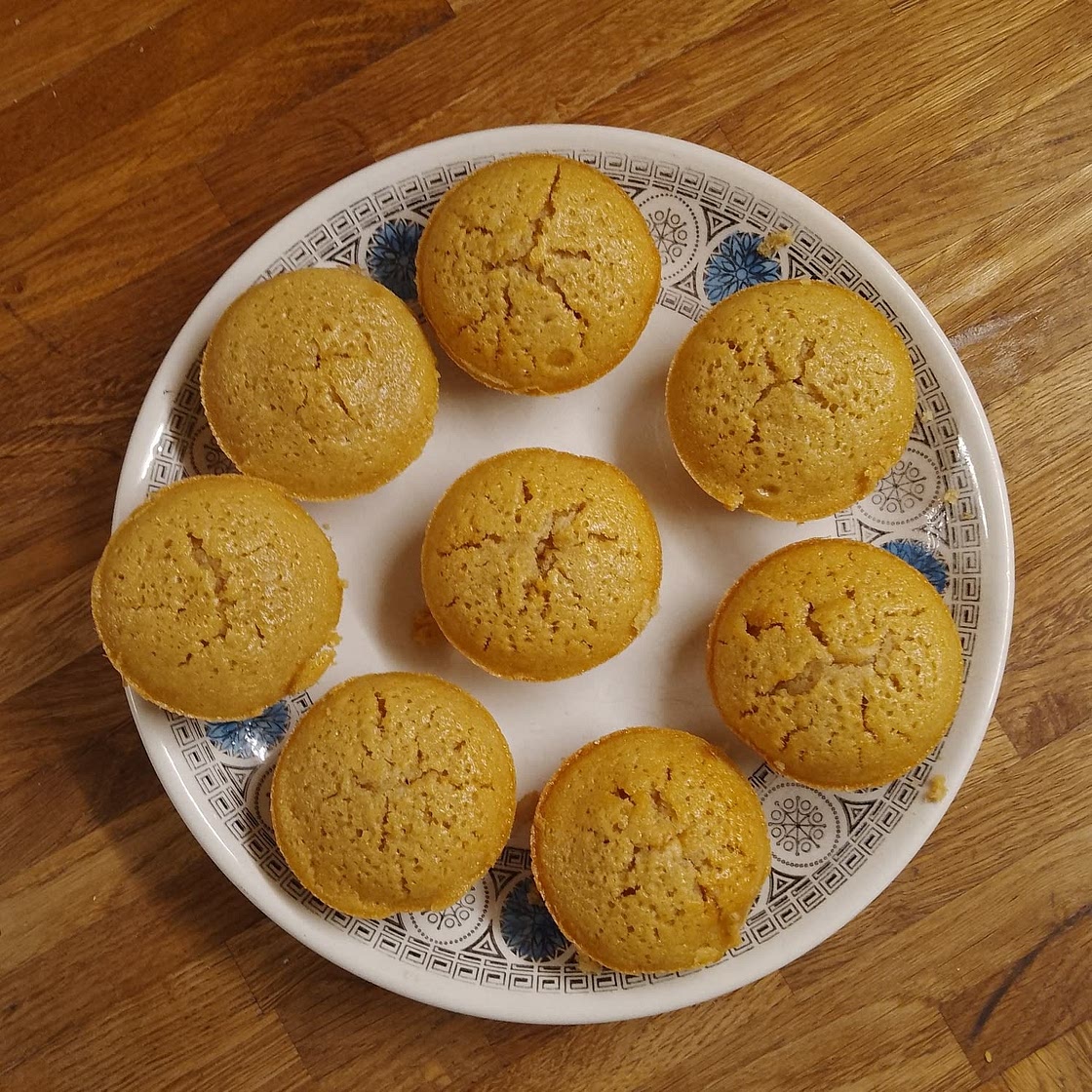 Vanilla Cupcakes