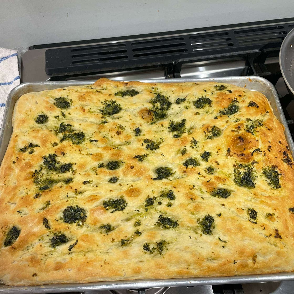 Garlic & Basil No-Knead Focaccia