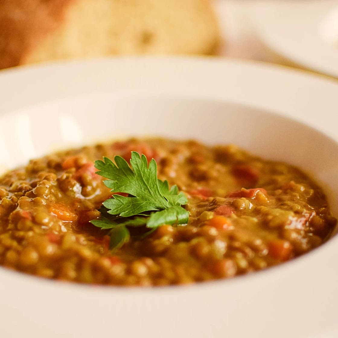 Flavorful Brown lentils stew