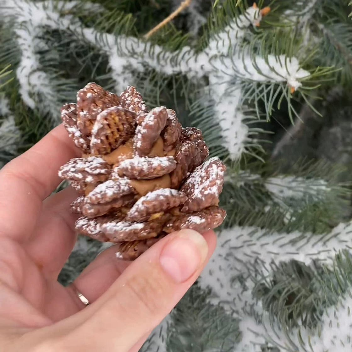 WIC Approved Pinecone Cookies