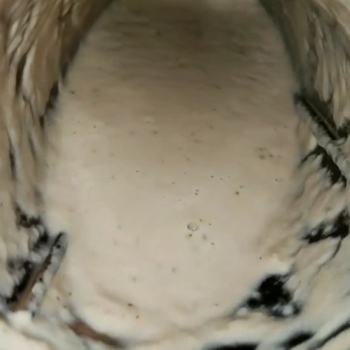 Tuna Fish Pureed