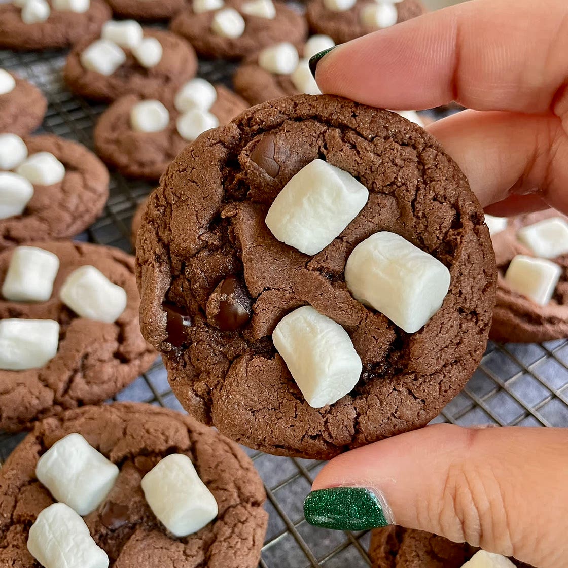 Hot cocoa cookies