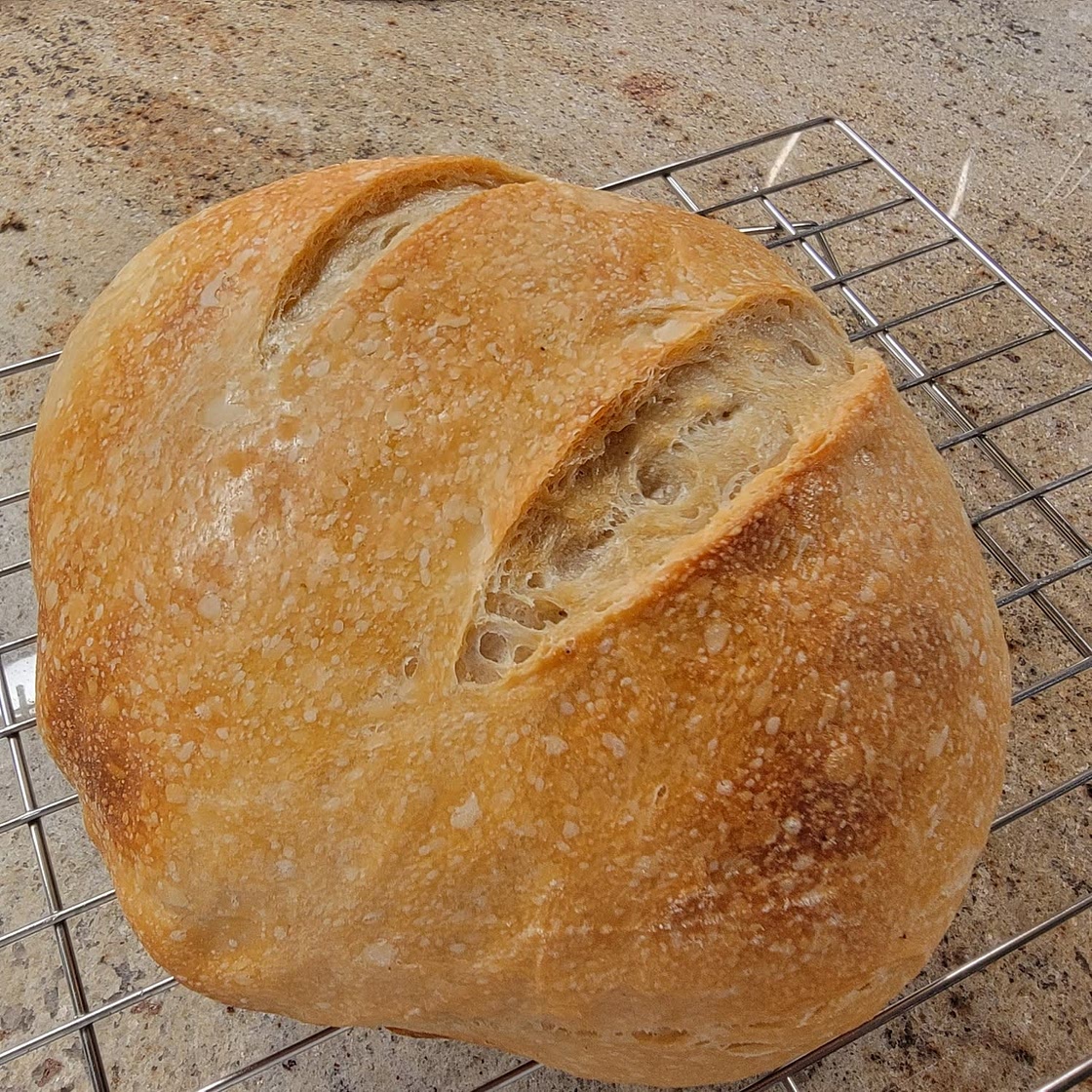 Sourdough Bread: A Beginner's Guide