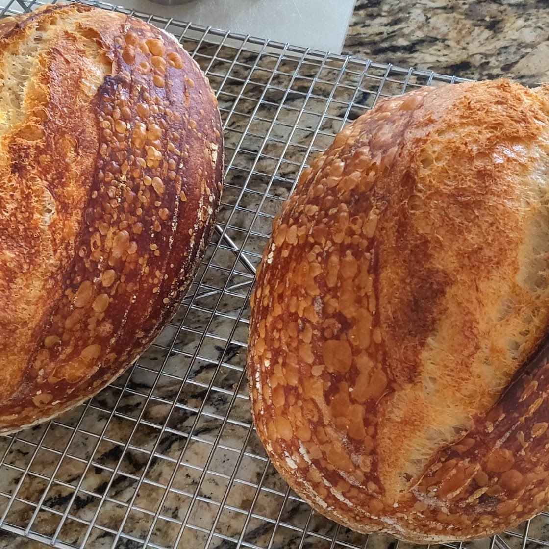 Sourdough Bread