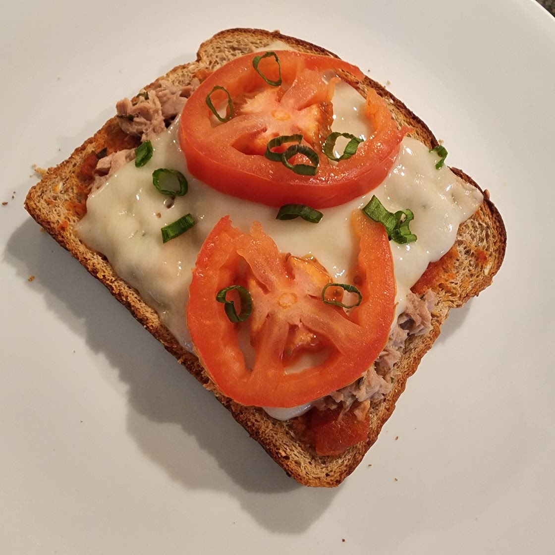 Tuna Pizzawich