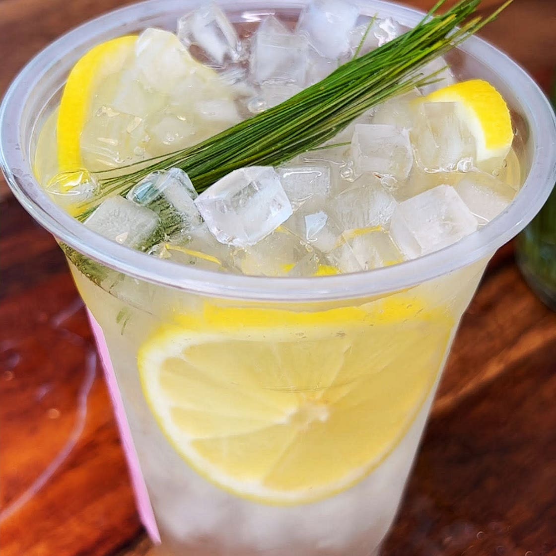 Pine Needle Soda Recipe - make natural soda with pine needles