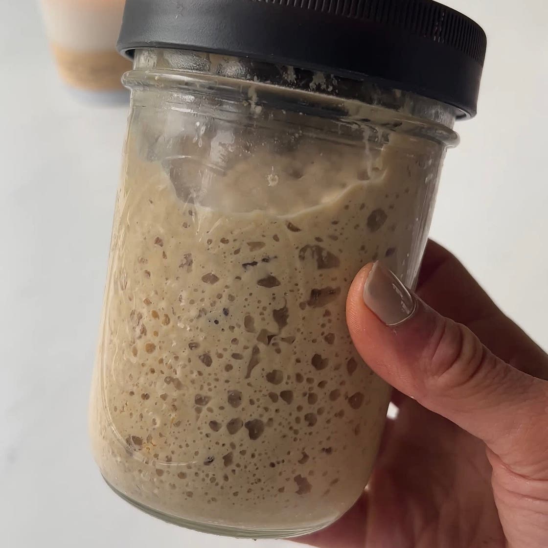 Beginner Sourdough Starter Recipe