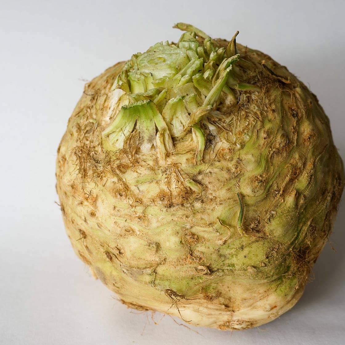 CELERI RAVE CONFIT DE COLOMBE  DE SALONIQUE