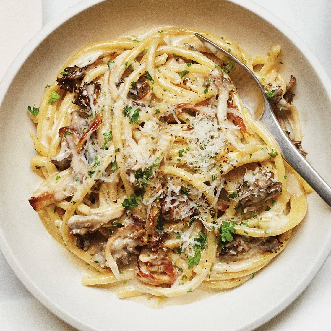 White wine mushroom pasta