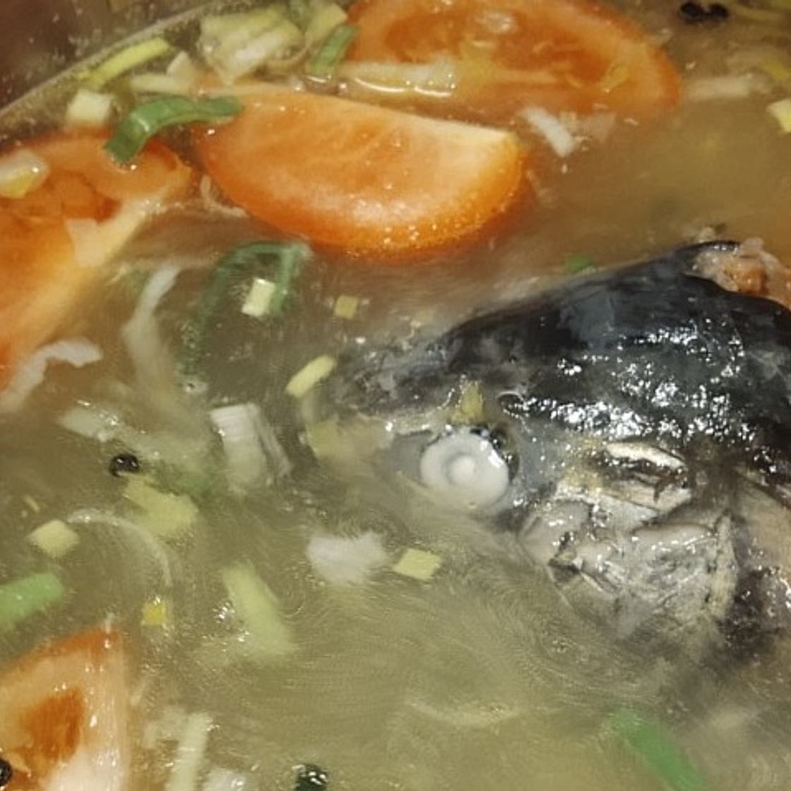 Salmon Stock