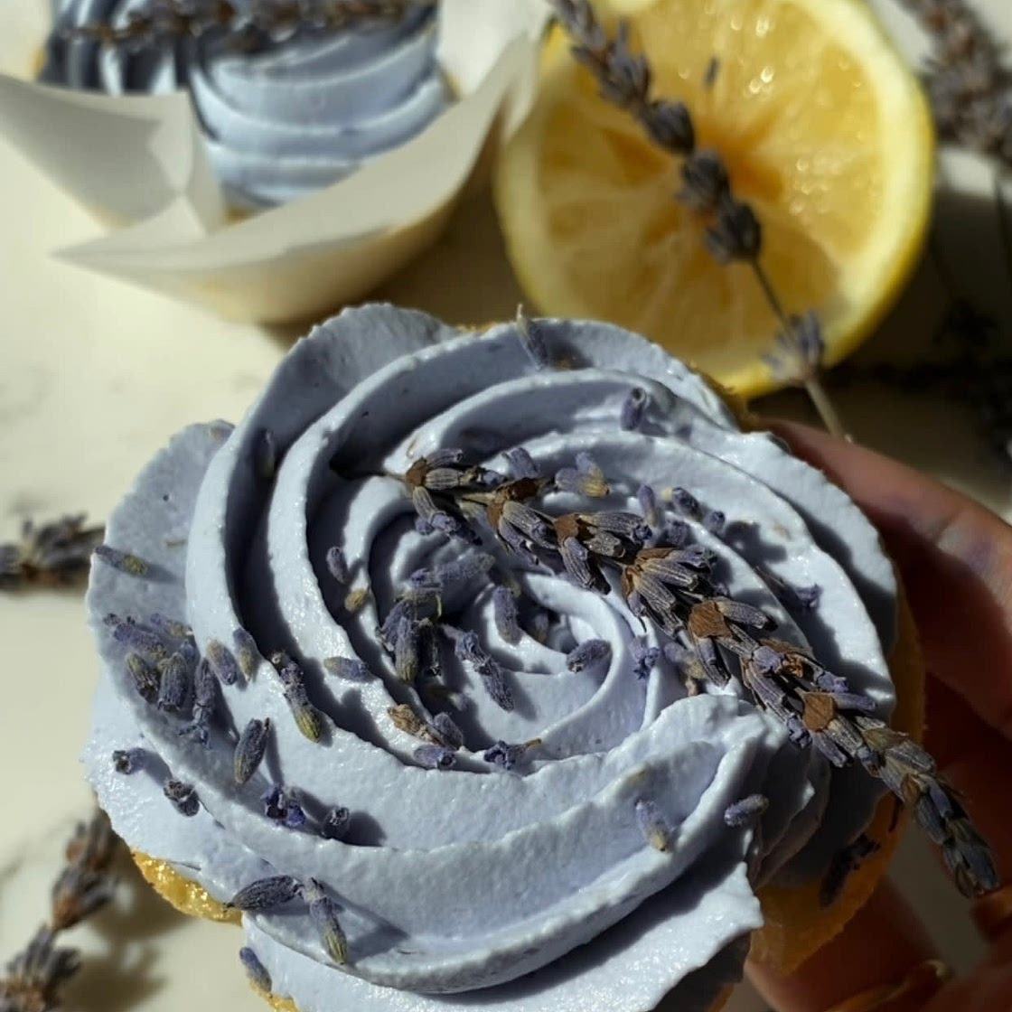 Lavender Lemon Cupcakes