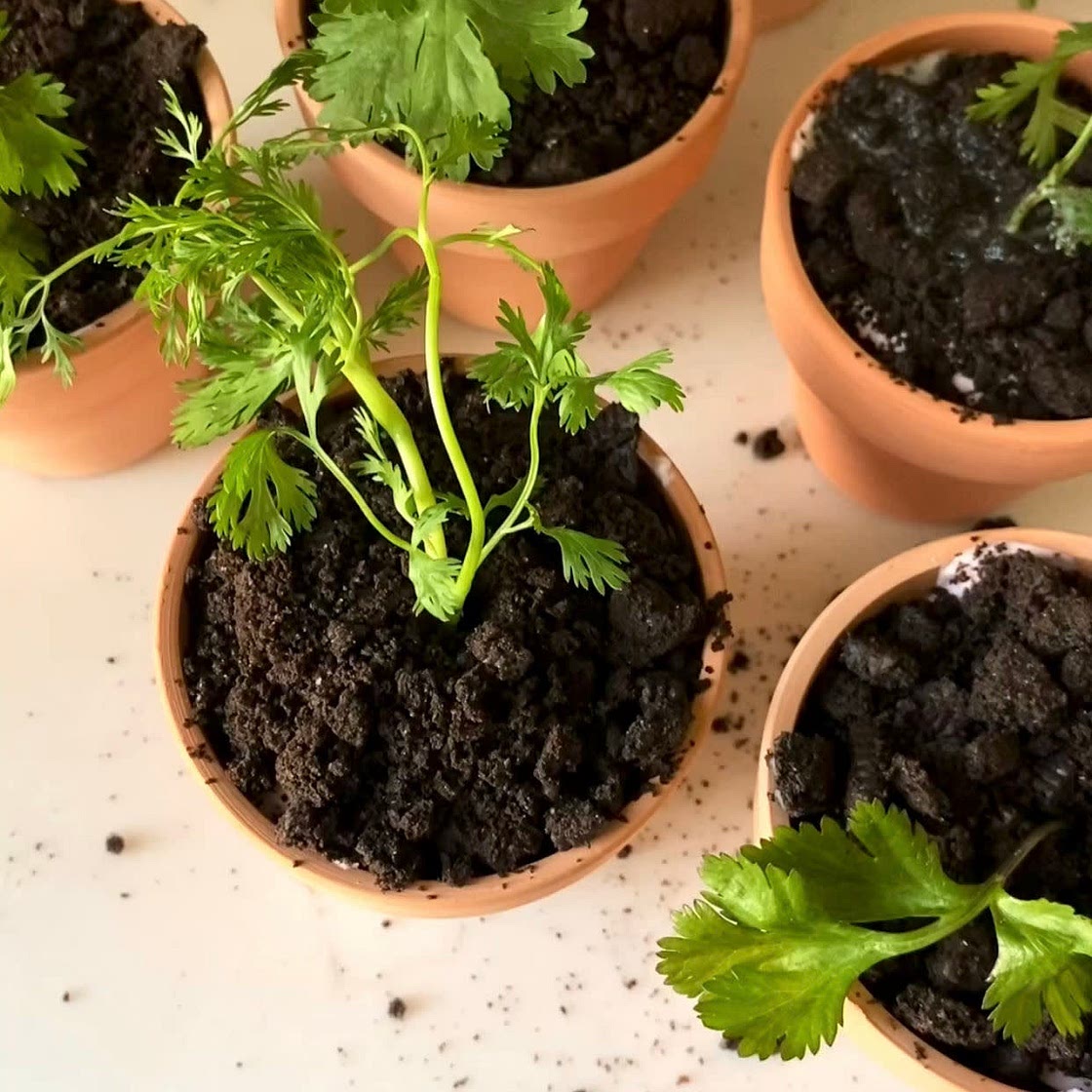 Dirt Cake