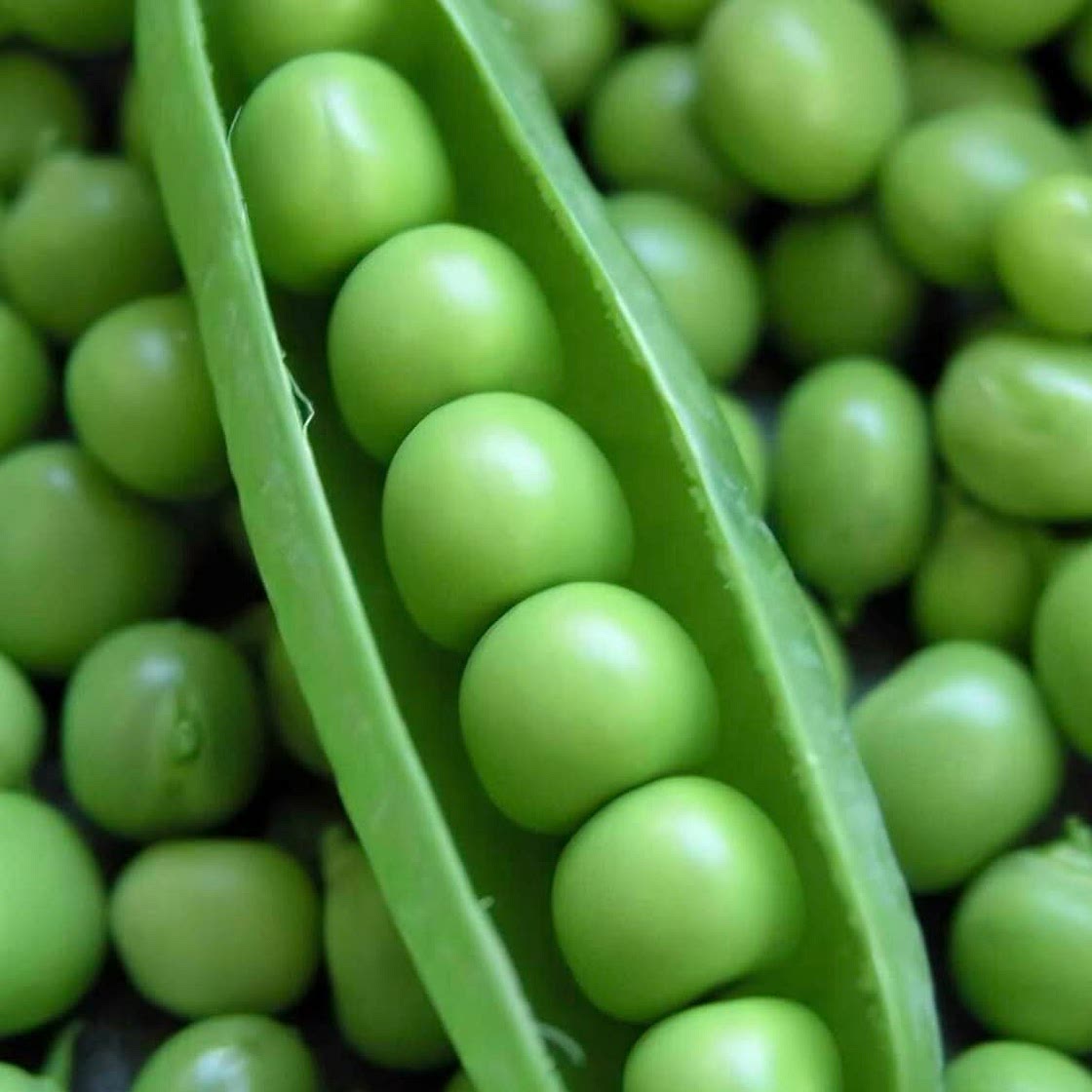 Pea soup