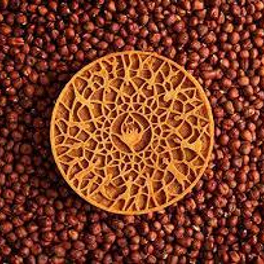 Galette Casse-Noisette, par Nina Métayer