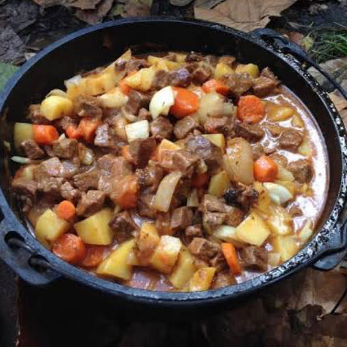 Camp oven Beef Stew