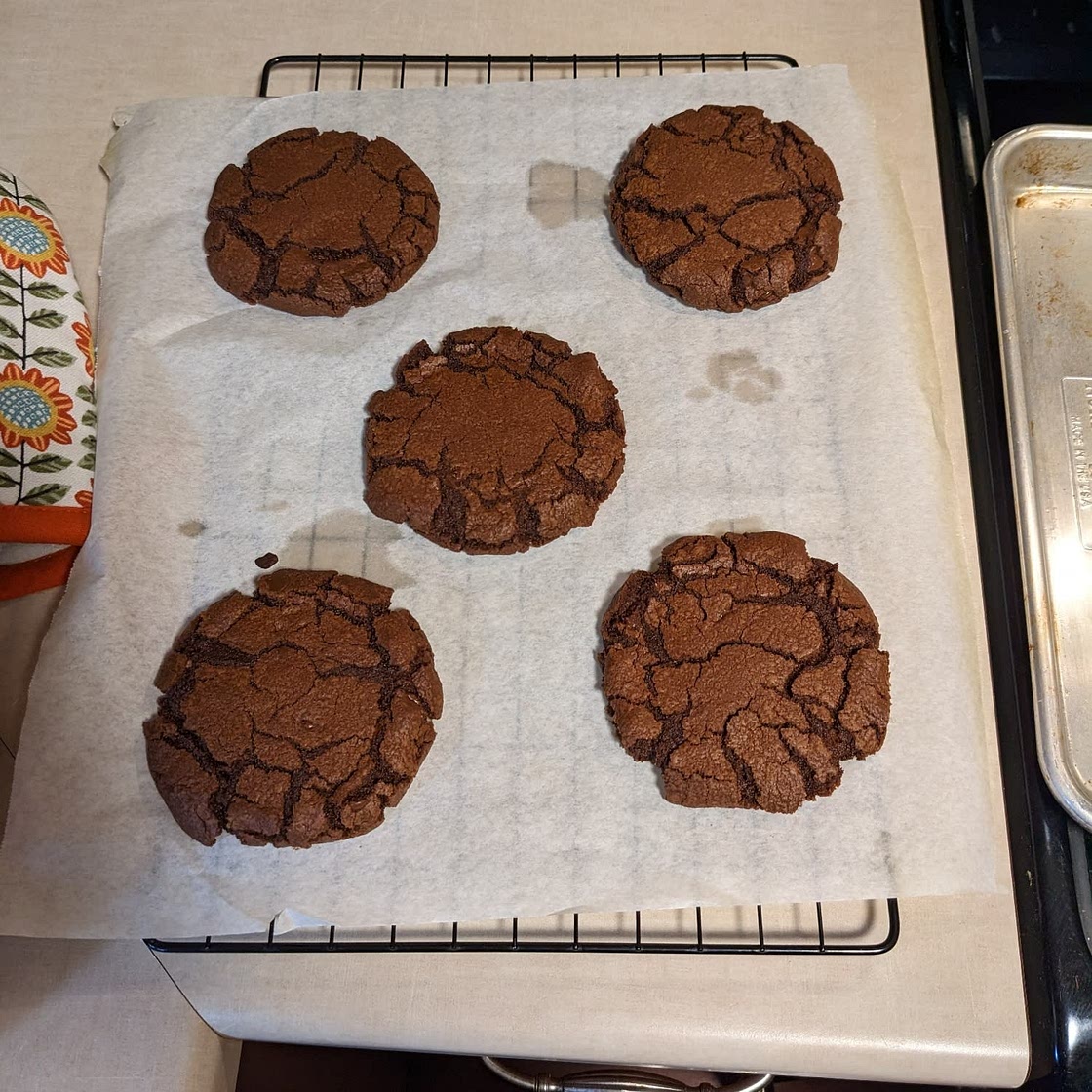 The Best Chocolate Chocolate Chip Cookies