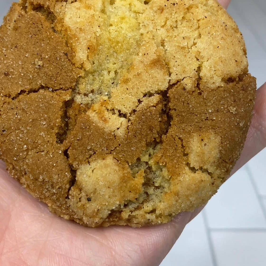 WIC Approved Gingerdoodles