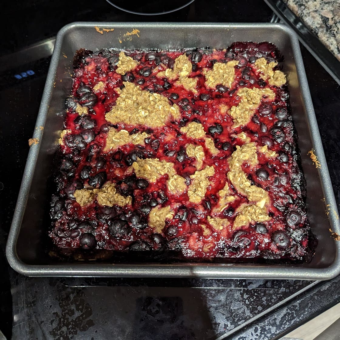 5 ingredient Blueberry Oat Breakfast Bars {vegan, sugar-free, oil-free, gluten-free}
