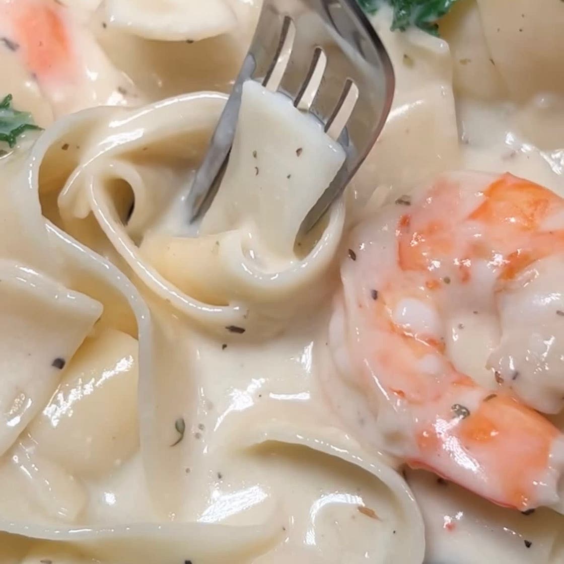 Shrimp Alfredo with Kale 