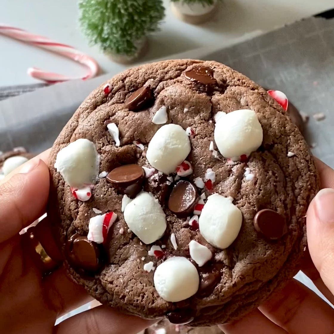 Hot Chocolate Cookies