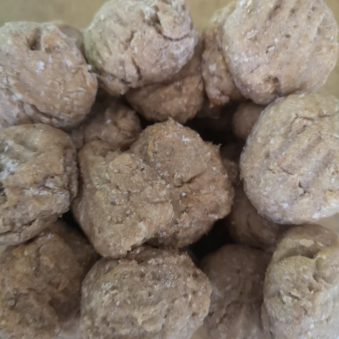 Dog Biscuit