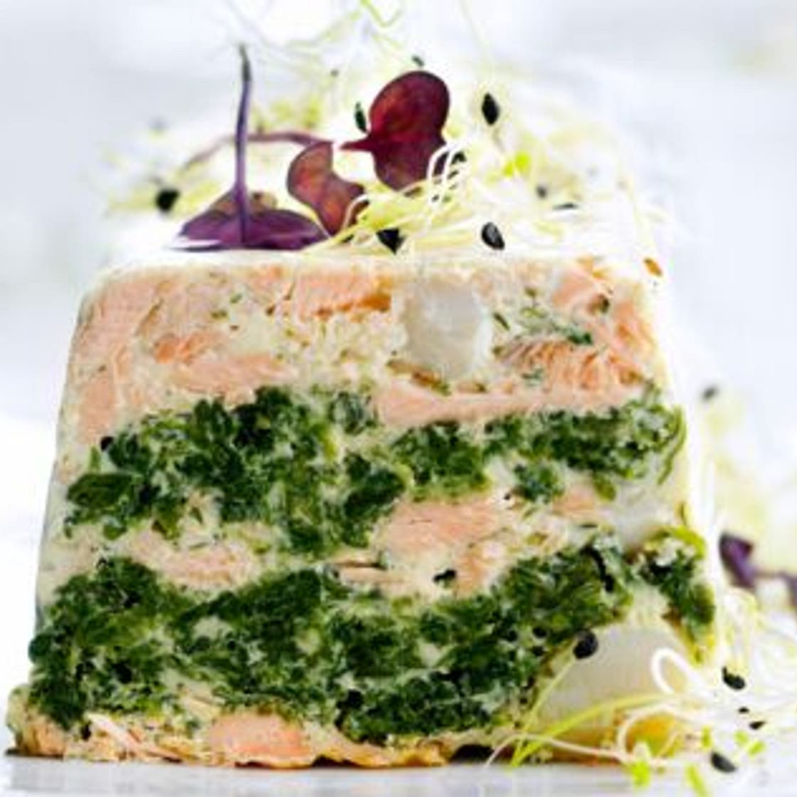 Terrine de saint-jacques et saumon
