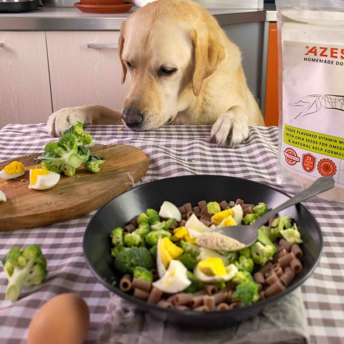 Homemade Dog Food with Eggs
