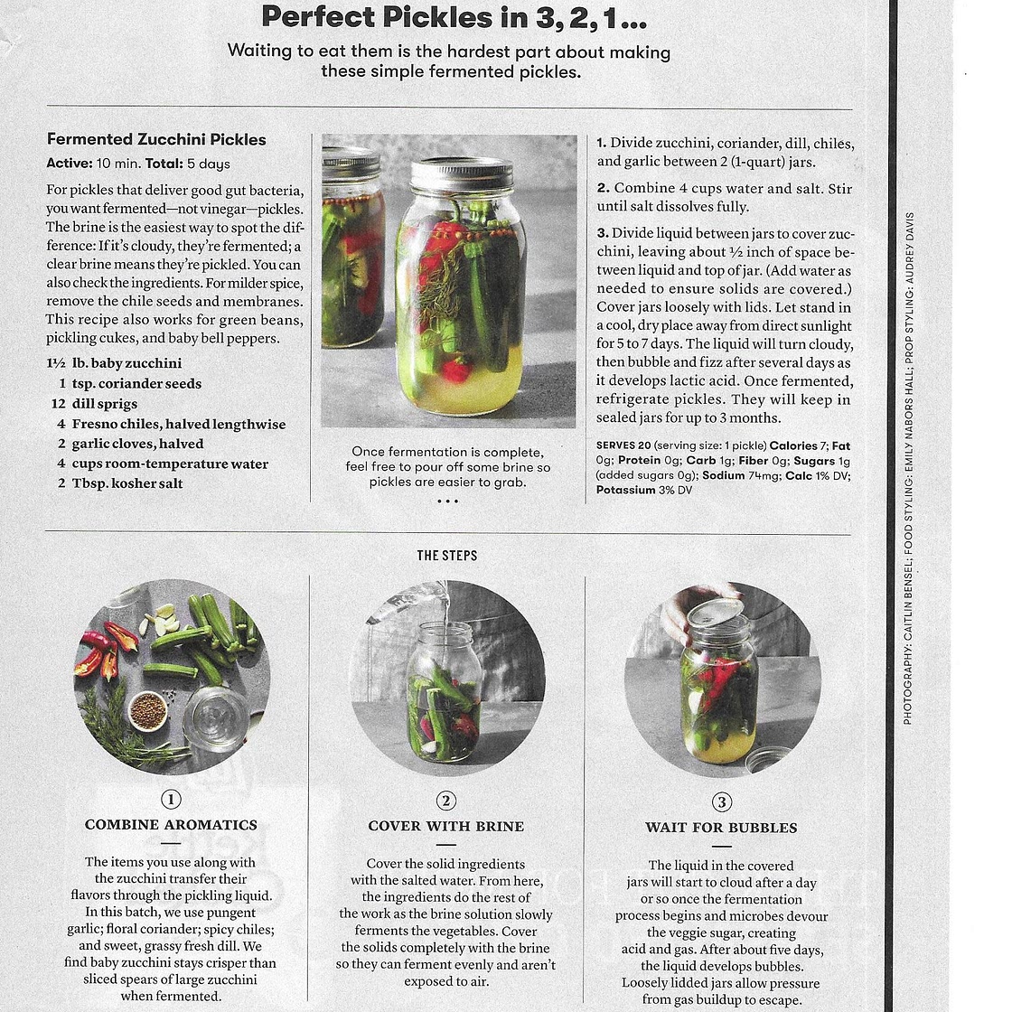 Fermented Zucchini Pickles